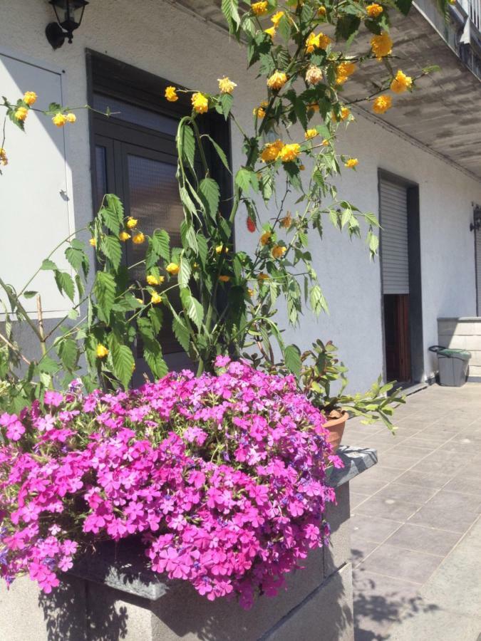 La Magnolia Apartment Ricco del Golfo di Spezia Bagian luar foto