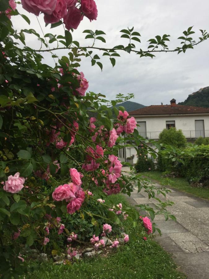 La Magnolia Apartment Ricco del Golfo di Spezia Bagian luar foto