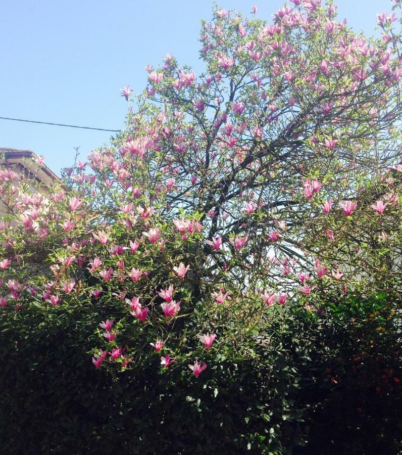 La Magnolia Apartment Ricco del Golfo di Spezia Bagian luar foto