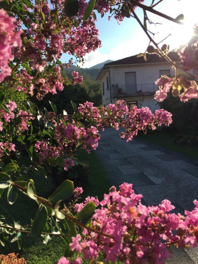 La Magnolia Apartment Ricco del Golfo di Spezia Bagian luar foto