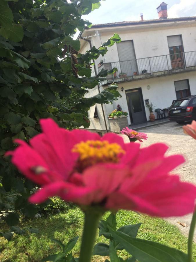 La Magnolia Apartment Ricco del Golfo di Spezia Bagian luar foto